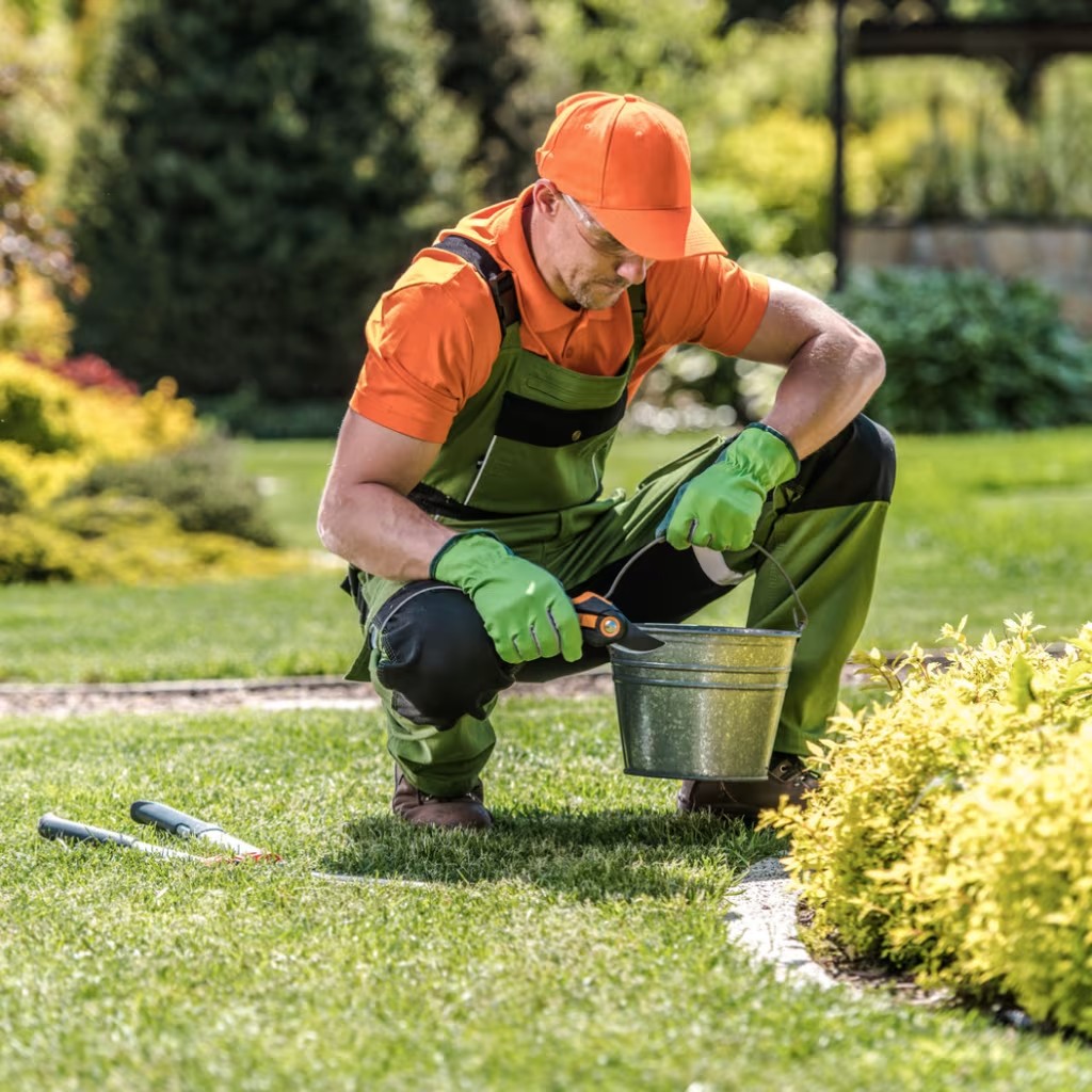 Empresa de jardinería en Valencia y Castellón